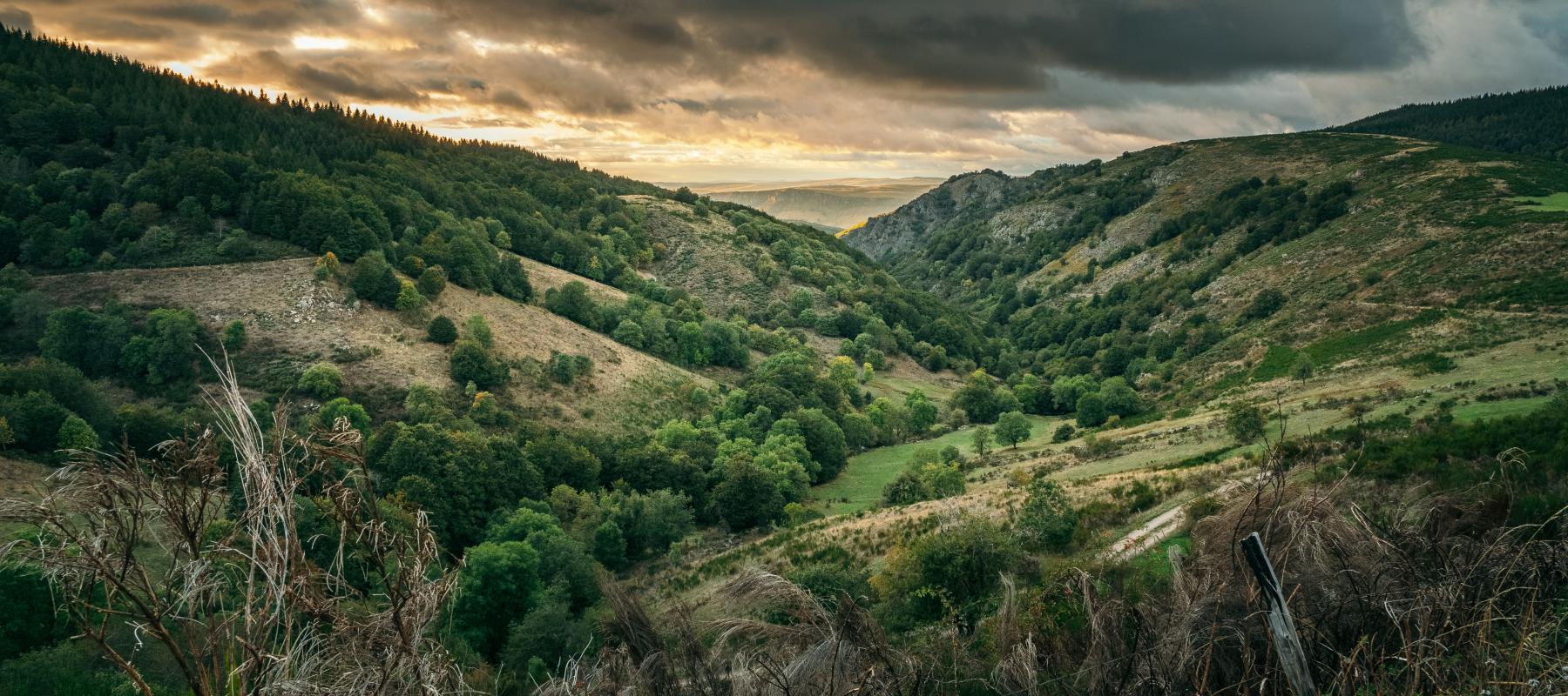 Parc des Cévènnes